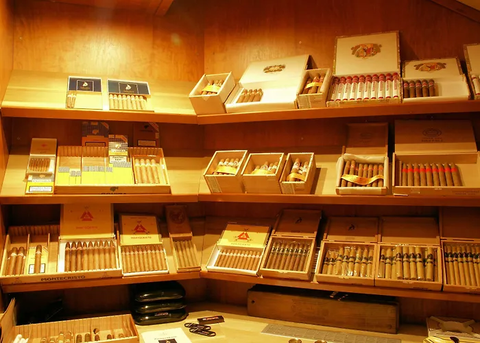 柏林布兰登堡凡德瓦克酒店 酒店 马洛