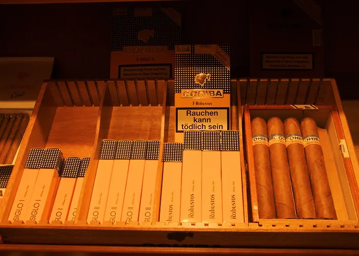 柏林布兰登堡凡德瓦克酒店 4*